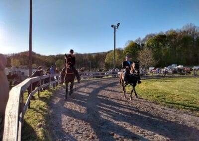 Two horses with riders prance around an arena at Scott County Regional Horse Park.