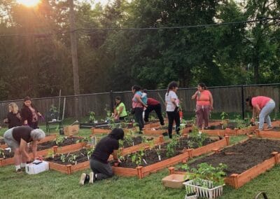 A group of people planting raised garden beds.