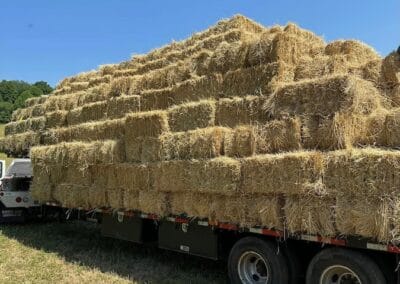 A flat bed loaded with hay at Enterprise Nursery.