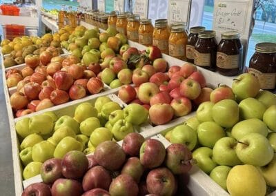 Different types of fresh apples for sale at Mann Farms.