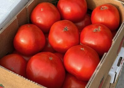 A box of fresh tomatoes for sale at Mann Farms.