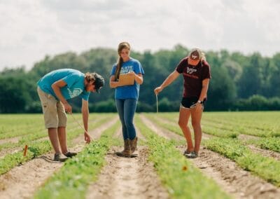 Three students measure the spacing of crops in a field at the Scott County Cooperative Extension.