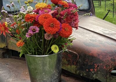A bucket of freshly picked flowers on top of an old vintage truck at 58 Flower Stop.