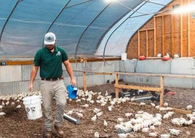 A male farmer feeding chickens at Brookhaven Farms.