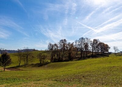 A beautiful blue sky over rolling fields at Bent Creek Farm.