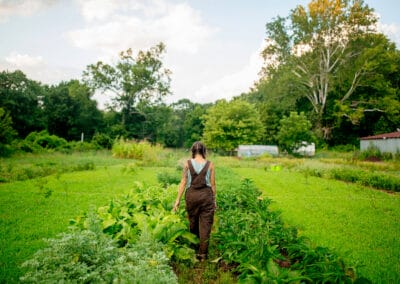 Appalachian Sustainable Development Appalachian Harvest