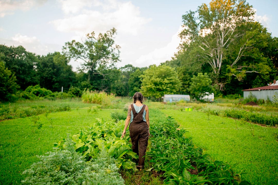 A lady walking through her garden checking produce.