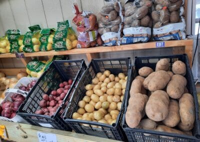 A variety of different potatoes for sale at Henry's Produce.