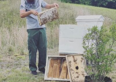A man inspecting a hive of bees at Hive and Honey, LLC in Scott County, Virginia.