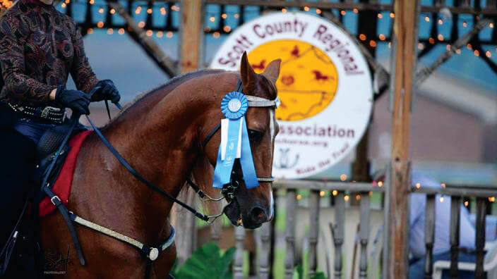 A blue ribbon winning horse at Scott County Regional Horse Park.