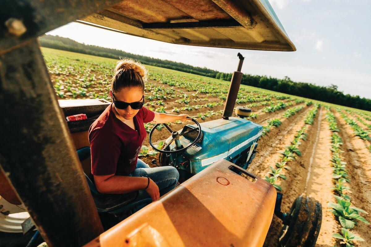 A lady farmer driving a tractor through a row of crops.